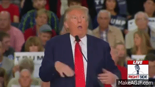 lfZOml.gif
