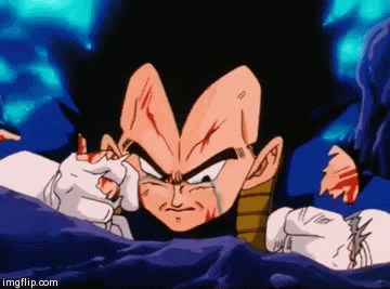 How would Vegeta have Reacted if Goku went SSJ3 during Their Fight in the  Buu Saga? : r/dbz
