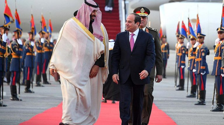 salman-and-sisi-768x430.jpg