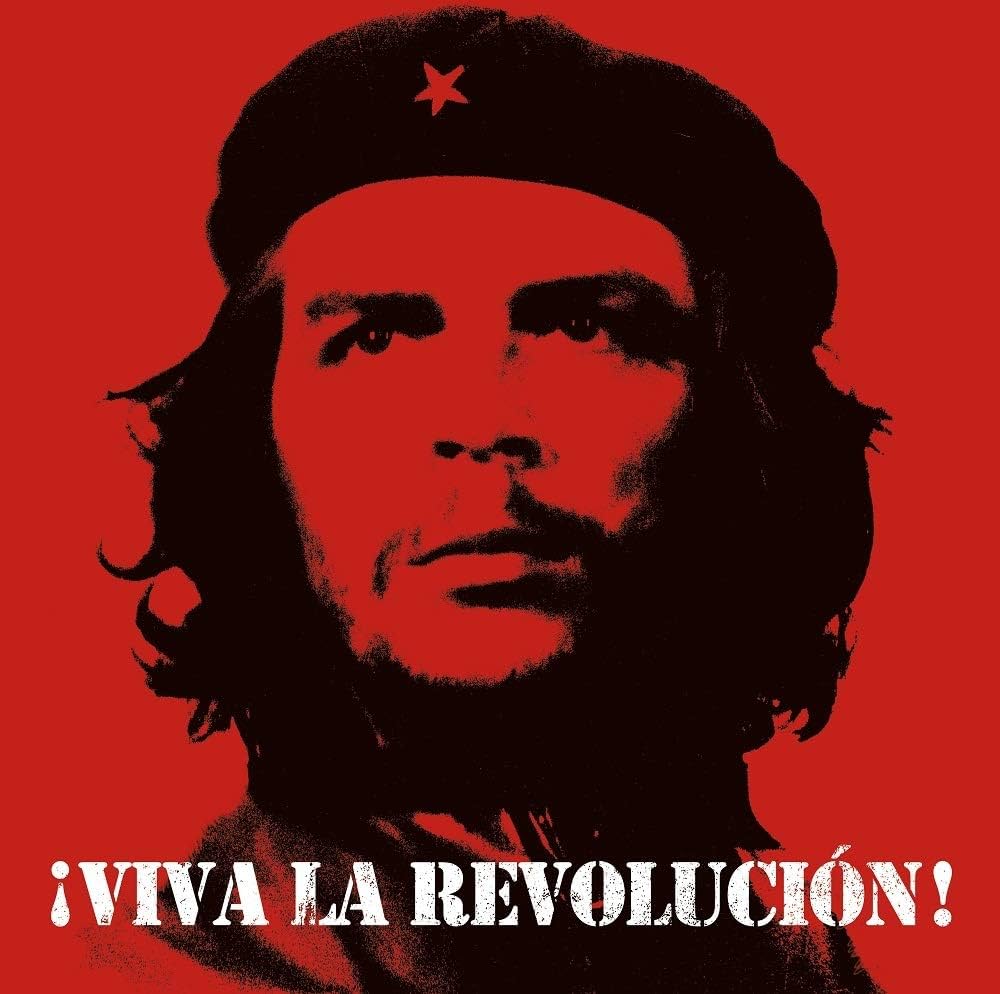 61xwKQhk8WL._UF1000,1000_QL80_.jpg