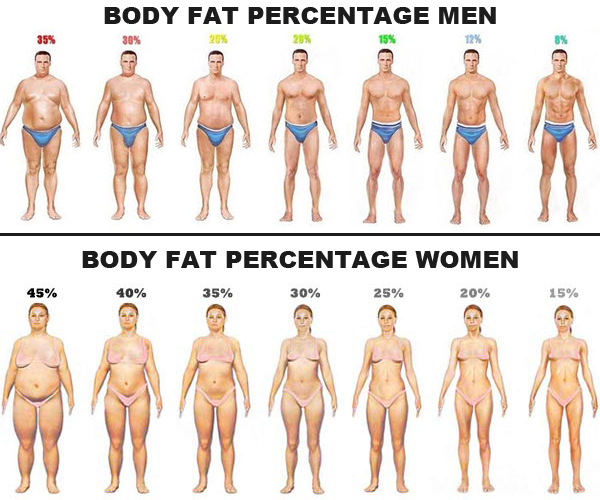 body-fat-percentage-men-women.jpg