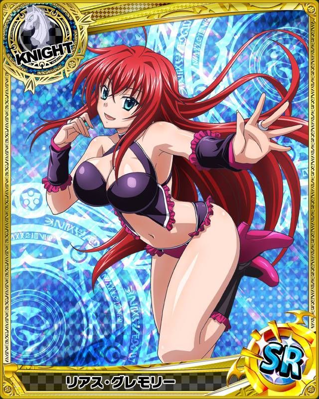 High School DxD Rias Gremory Disgusted Face, Yoko Littner, Animal Ears, In High School