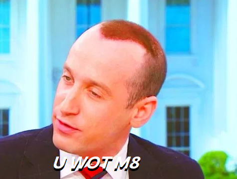 0AlvDzY.png