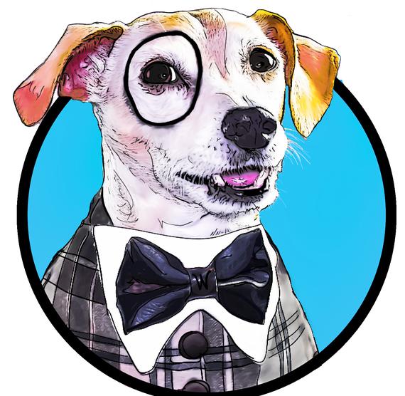 www.bitchute.com