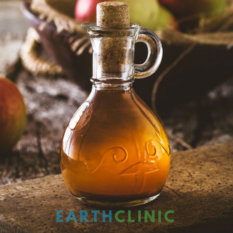 www.earthclinic.com