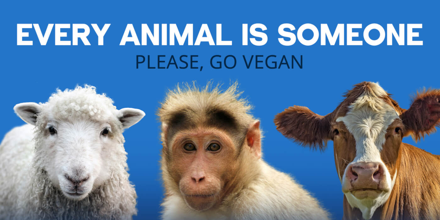 www.peta.org