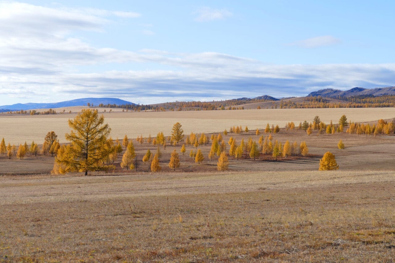 Mongolian-autumn-in-the-steppe-4.jpg