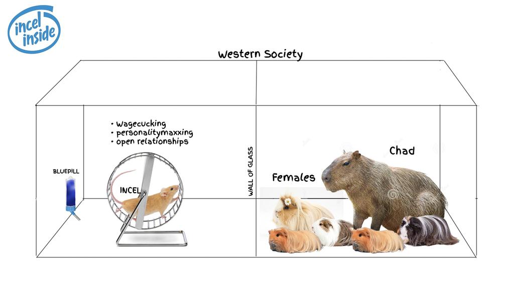 Weff.jpeg