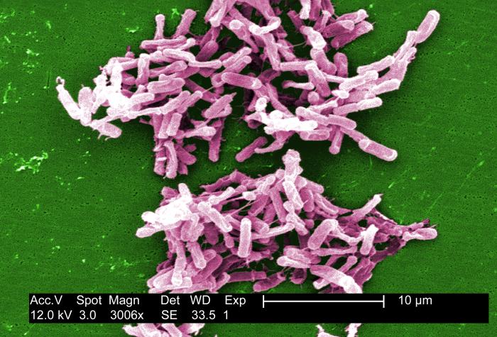 www.livescience.com