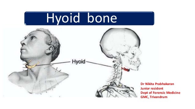 hyoid-bone-1-638.jpg