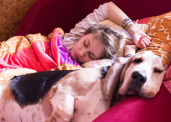 Pet-cuddles-476920.jpg