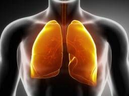 www.medicalnewstoday.com