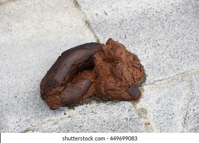 dog-dirt-turd-poo-pile-260nw-449699083.jpg