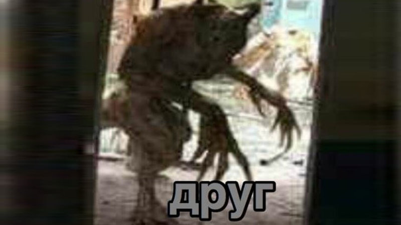 apyrrr.jpg