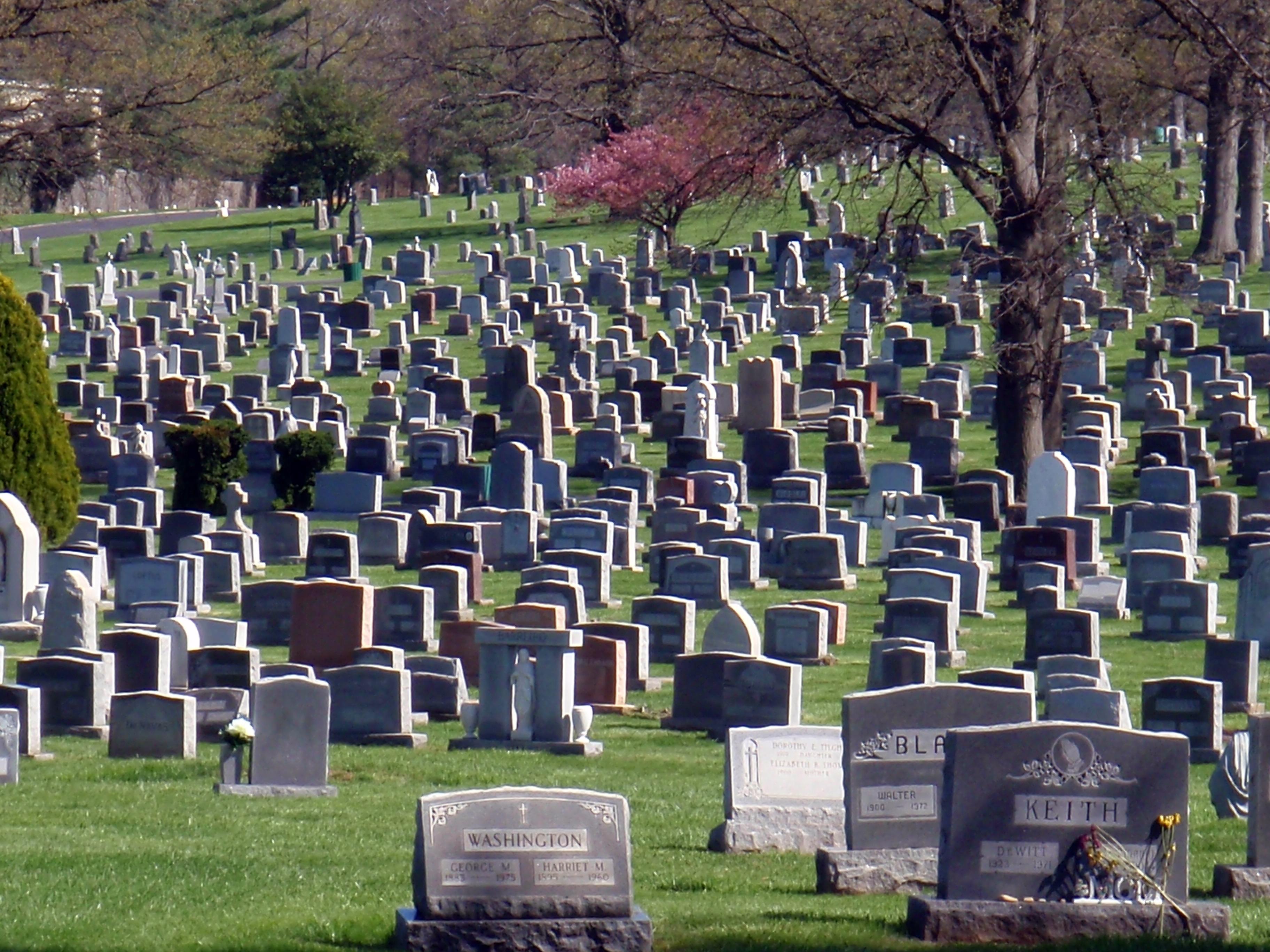 Mt._Olivet_Cemetery.jpg