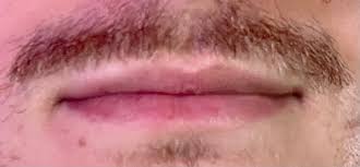 Lip - Wikipedia