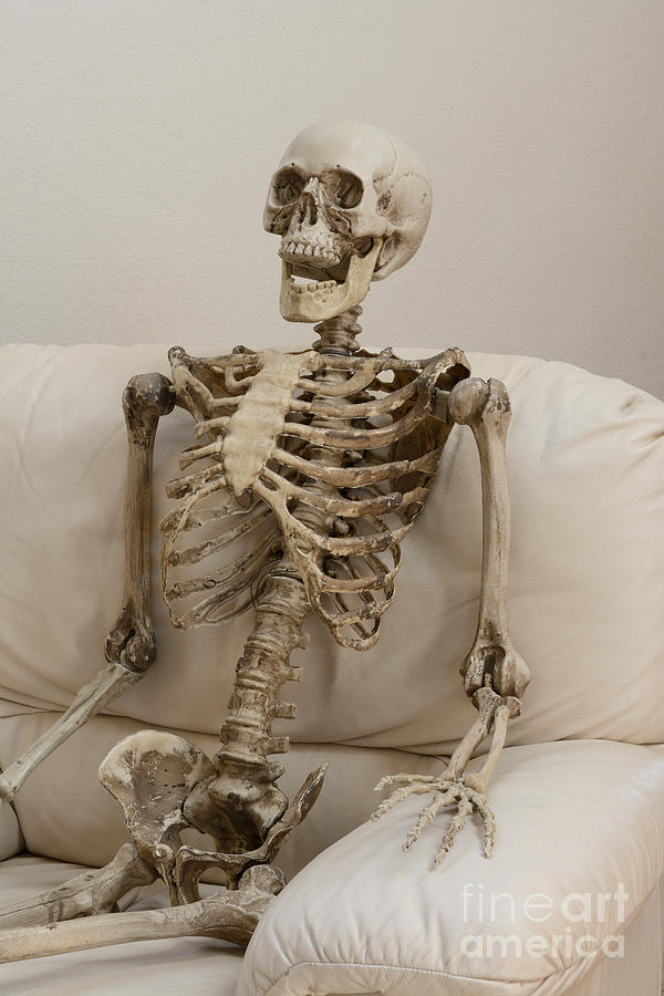 Skeleton Sitting In White Chair Against White Wall ...