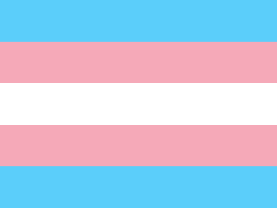 lgbtqa_flag_Transgender.png