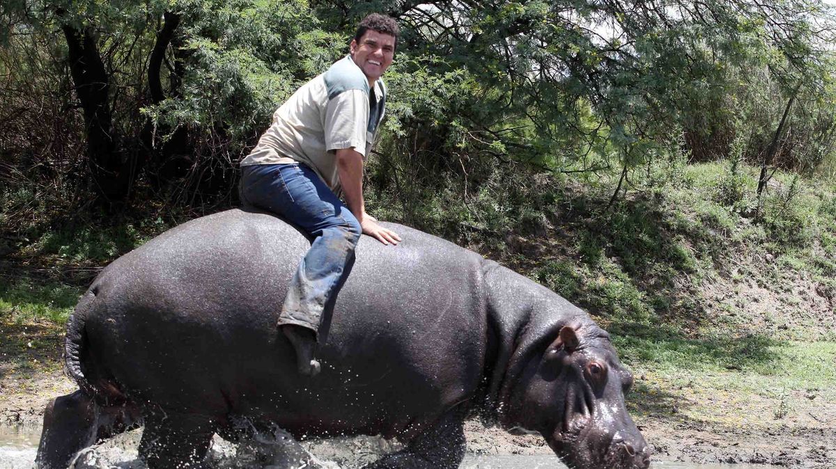 0_My-Pet-Hippo.jpg