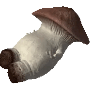 3723.gif