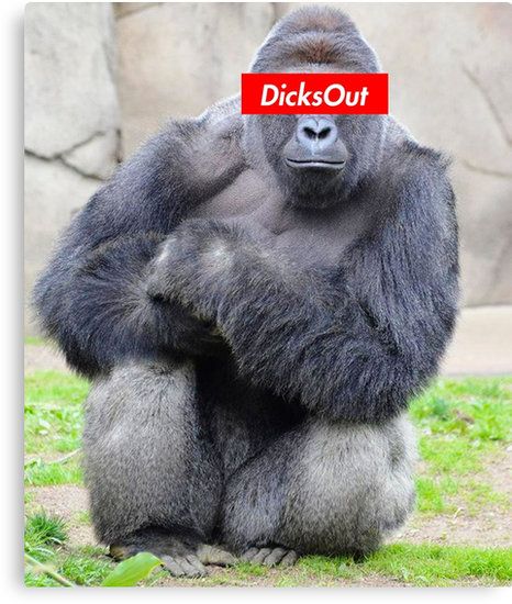 Pin on Harambe Canvas Prints