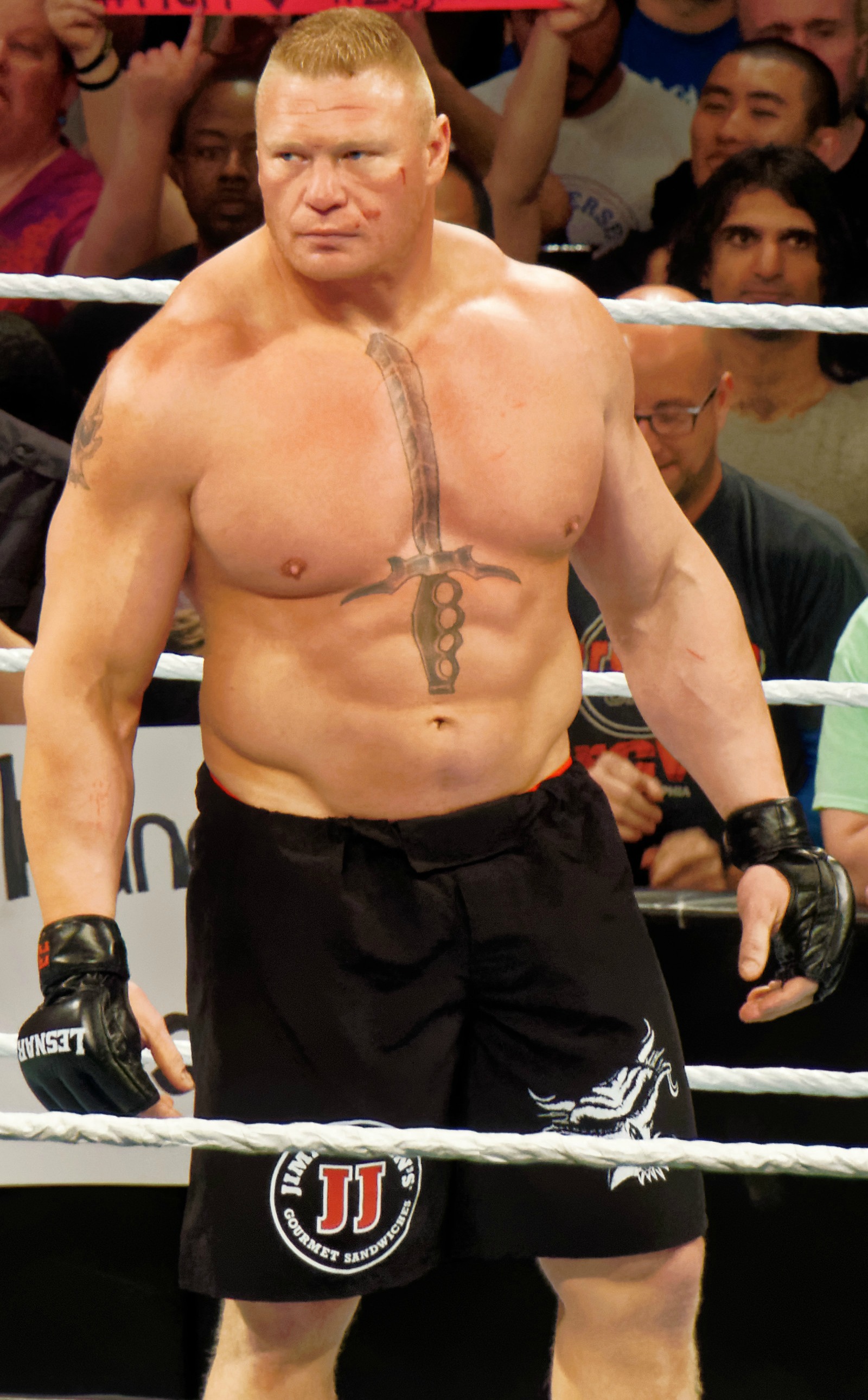 Brock_Lesnar_in_March_2015.jpg