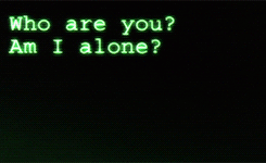tumblr_m8jy6shcmy1qdku5lo8_r1_250.gif