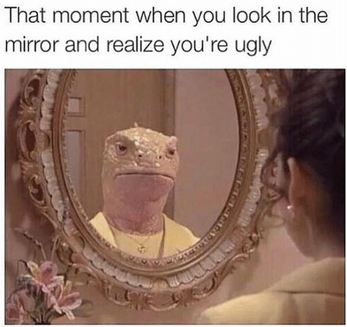 that-moment-when-you-look-in-the-mirror-and-realize-3107051.png