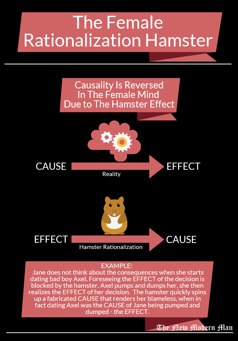 The_Female_Rationalization_Hamster_-_Hamster_Effect.png