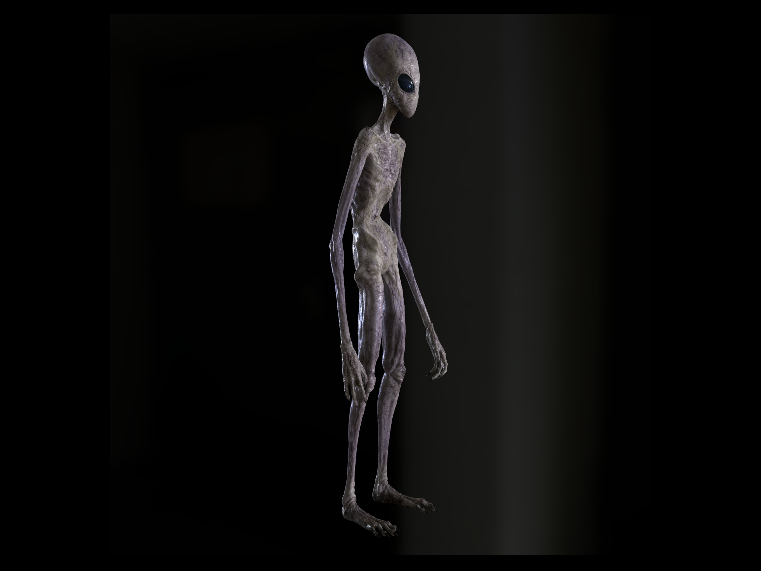 Alien-4.jpg