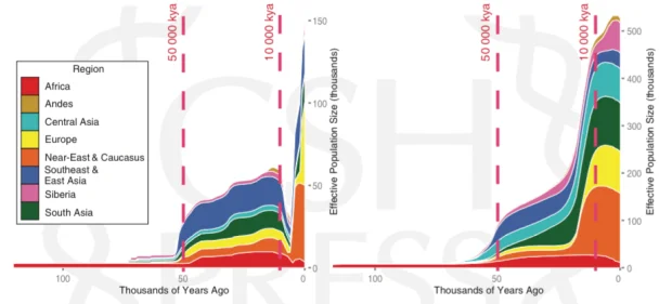 These two graphs show the number of men (left) and women (right) who reproduced throughout human history. (Chart: Monika Karmin et al./Genome Research)