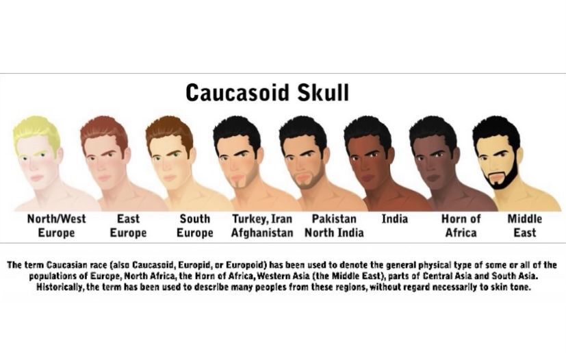 caucasoid skull | North africa, North india, Skin tones