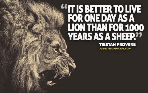 Image] It is better to live for one day as a lion than for 1000 years as a  sheep.: GetMotivated