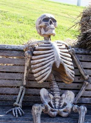 Image result for skeleton on bench