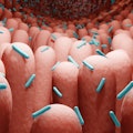 gut bacteria, microorganisms in human intestine 3d rendering