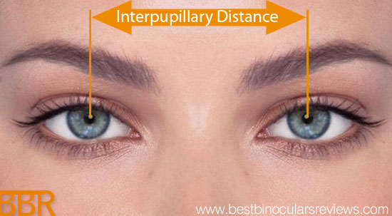 interpupillary-distance
