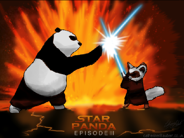 kung_fu_jedi_by_shadow_of_insanity-d39pcz4.png