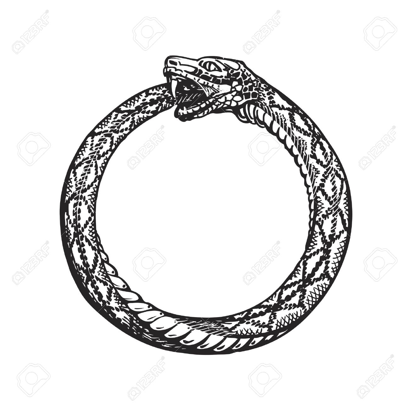 67209558-ouroboros-snake-eating-its-own-tail-eternity-or-infinity-symbol-isolated-on-white-background.jpg