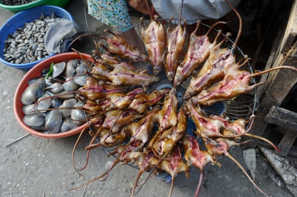 Would you eat a roasted rat skewer? It's a hit in Vietnam