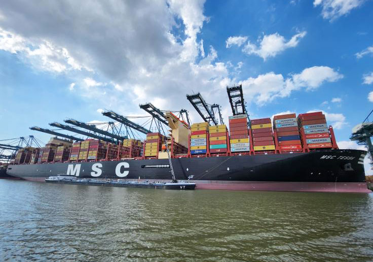 msc-tessa-container-ship-vessel-finder-375.jpg