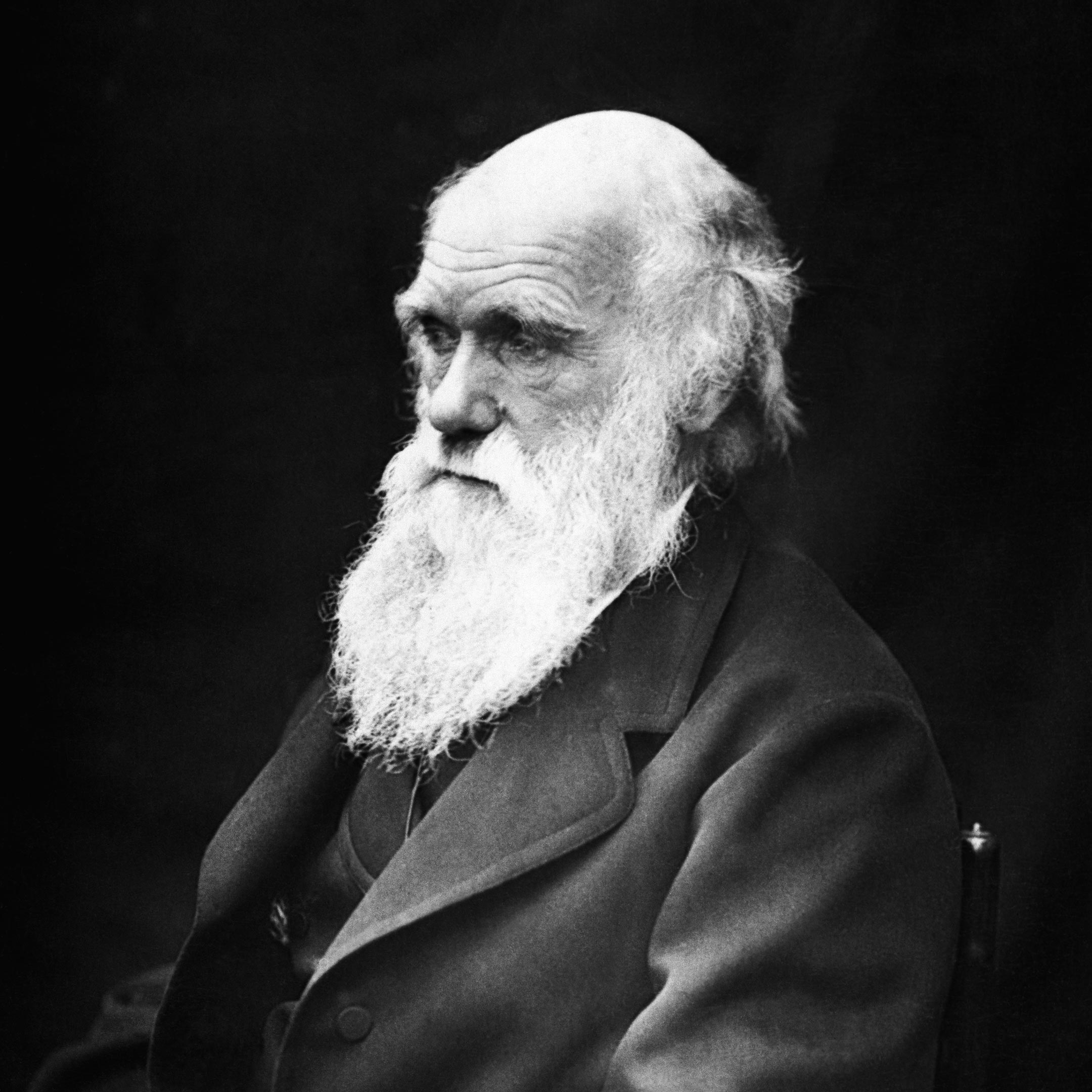 Charles-Darwin-Crop.jpg
