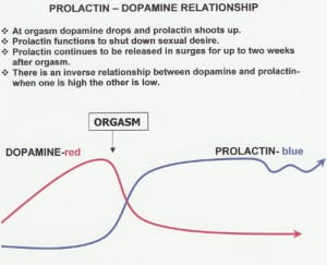 prolactin prolactin