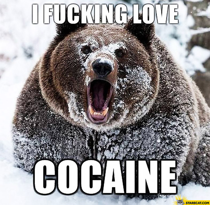 i-fucking-love-cocaine-bear.jpg