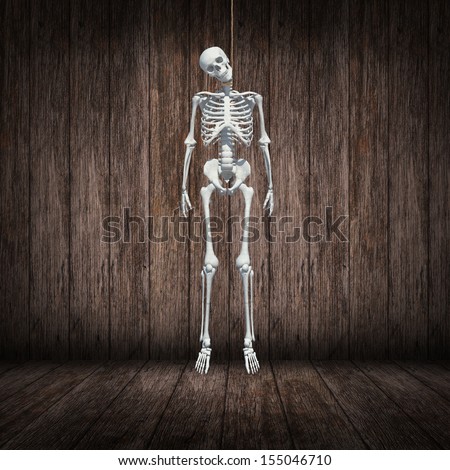 stock-photo-skeleton-hangman-s-noose-in-dark-wood-room-155046710.jpg
