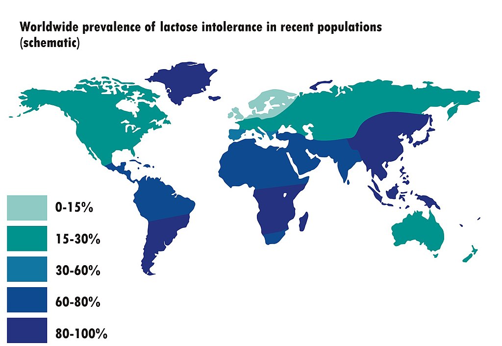 1024px-Worldwide_prevalence_of_lactose_intolerance_in_recent_populations.jpg