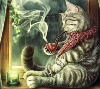 HD-wallpaper-smoking-cat-at-funny-smoking-cat-thumbnail.jpg